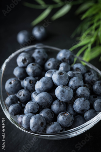 Wallpaper Mural Blueberry antioxidant organic in a bowl. Torontodigital.ca