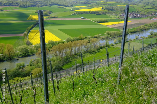 Landschaft und Weinberge bei Stetten, Landkreis Main-Spessart, Unterfranken, Bayern, Deutschland photo