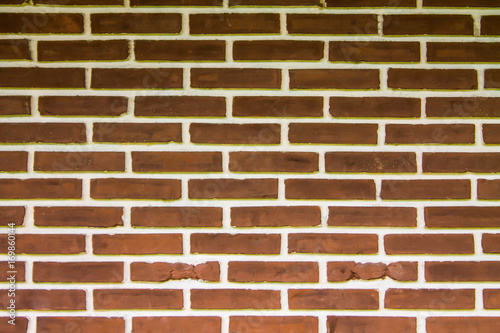 Old brick wall brings a background.