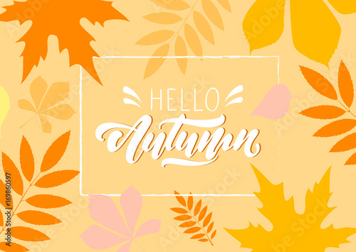Hello Autumn. Autumn pattern .Lettering autumn. foliage