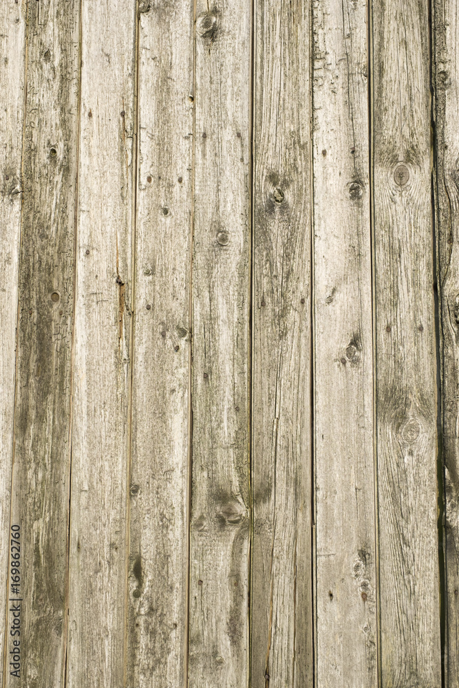 Fototapeta premium Bauholz im Detail