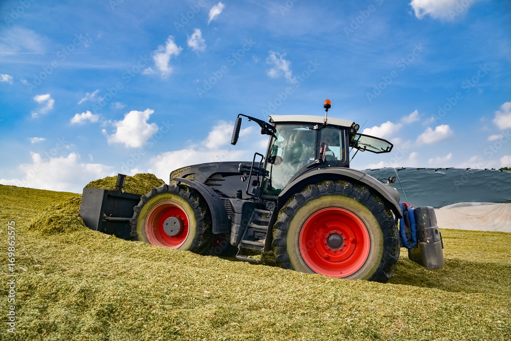 Obraz premium Biogas - maisernte, Schlepper beim Walzen und Planieren eines Maishaufens