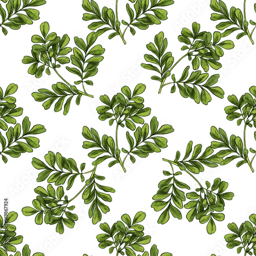 Moringa. Seamless botanical pattern