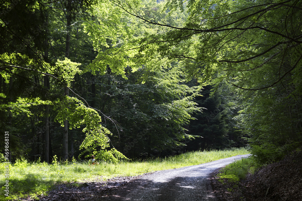 Obraz premium Clear green Countryside from the summer Mountains Beskydy in north east Bohemia, Czech Republic