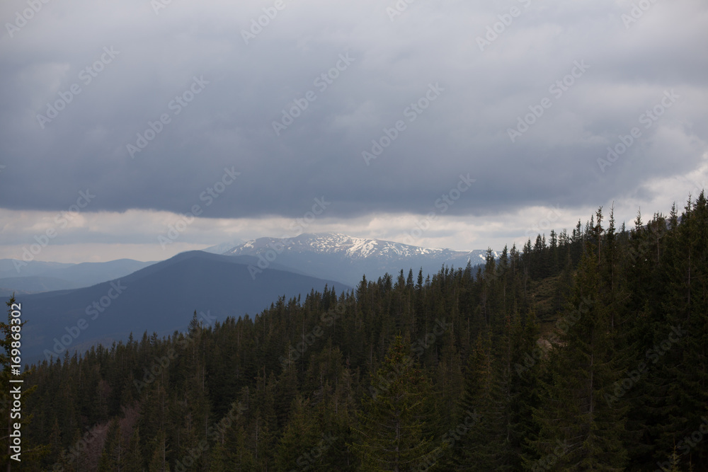 landscape in mountains Carpathians Ukraine