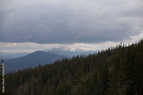 landscape in mountains Carpathians Ukraine