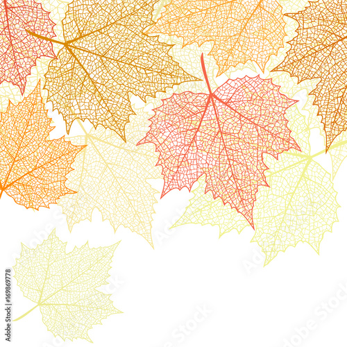 Nature banner with autumn leaves 