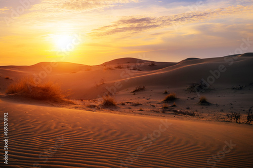 Dawn in the dune desert 