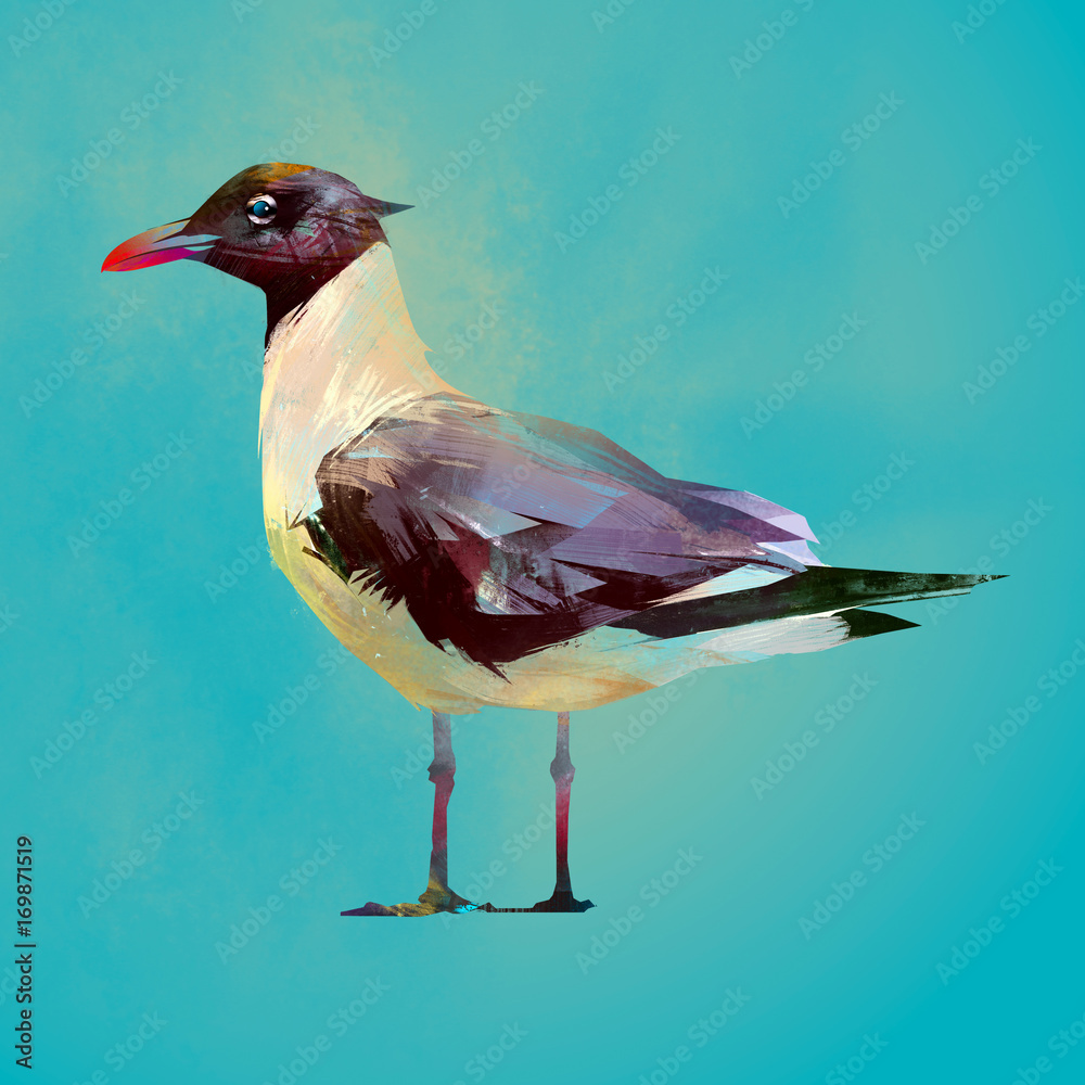 Naklejka premium Painted color seated seagull bird