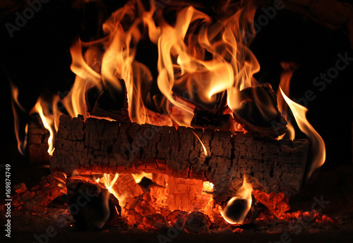 Beautiful fire and firewood
