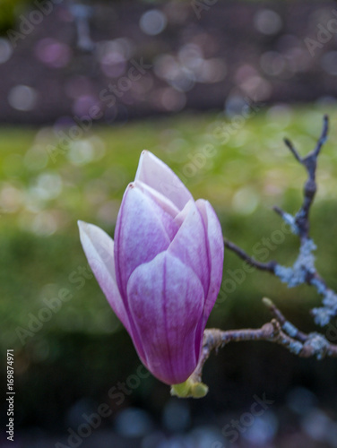 Botanical Garden, Coimbra, Portugal