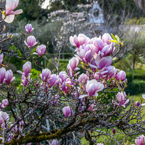Botanical Garden, Coimbra, Portugal