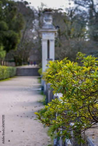 Botanical Garden  Coimbra  Portugal