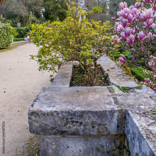 Botanical Garden, Coimbra, Portugal