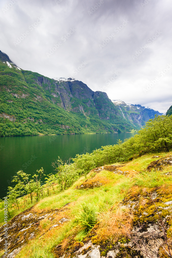 Obraz premium Mountains landscape and fjord in Norway