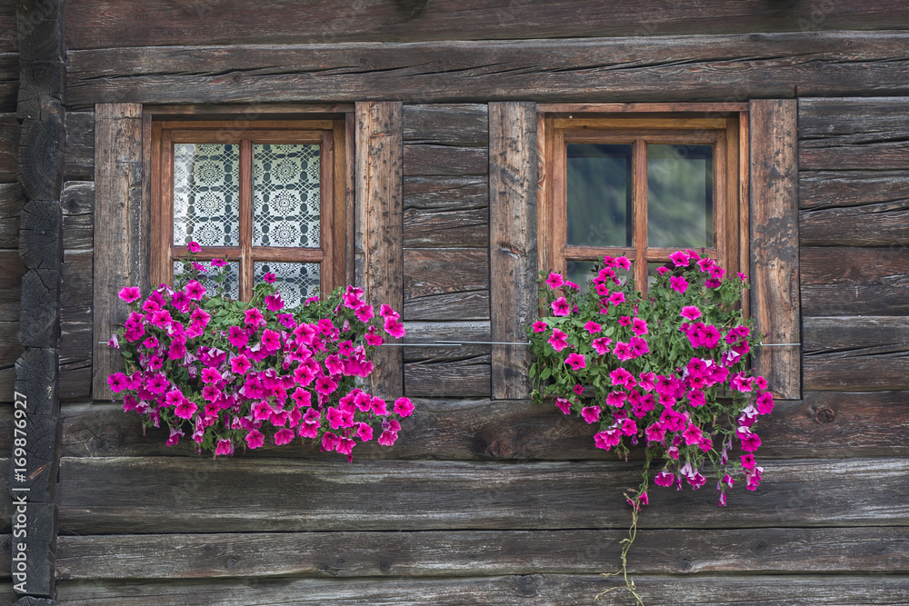 finestre fiorite Stock Photo | Adobe Stock