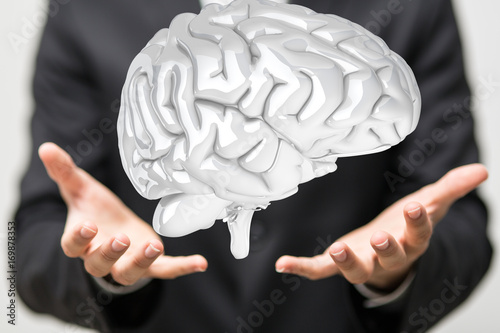 brain