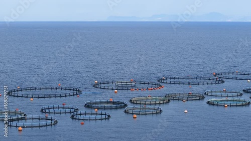 Fish farm along the coast of the Igroviotopos Moustou park in Greece photo