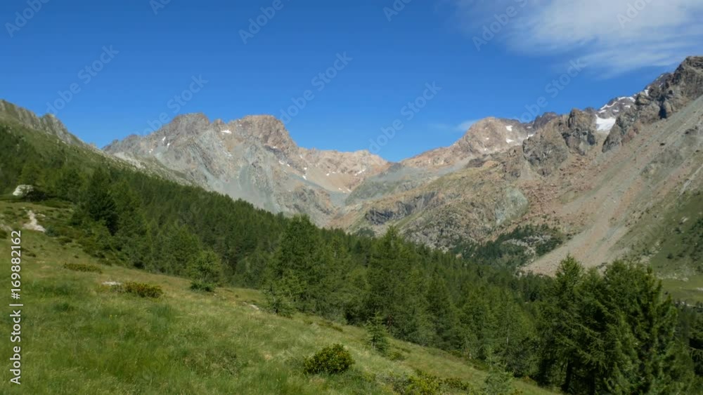 Alpine landscape with tall mountains and pasture in summer in Valmalenco, northern Italy. Alpine landscape with tall mountains and pasture in summer in Valmalenco, northern Italy.