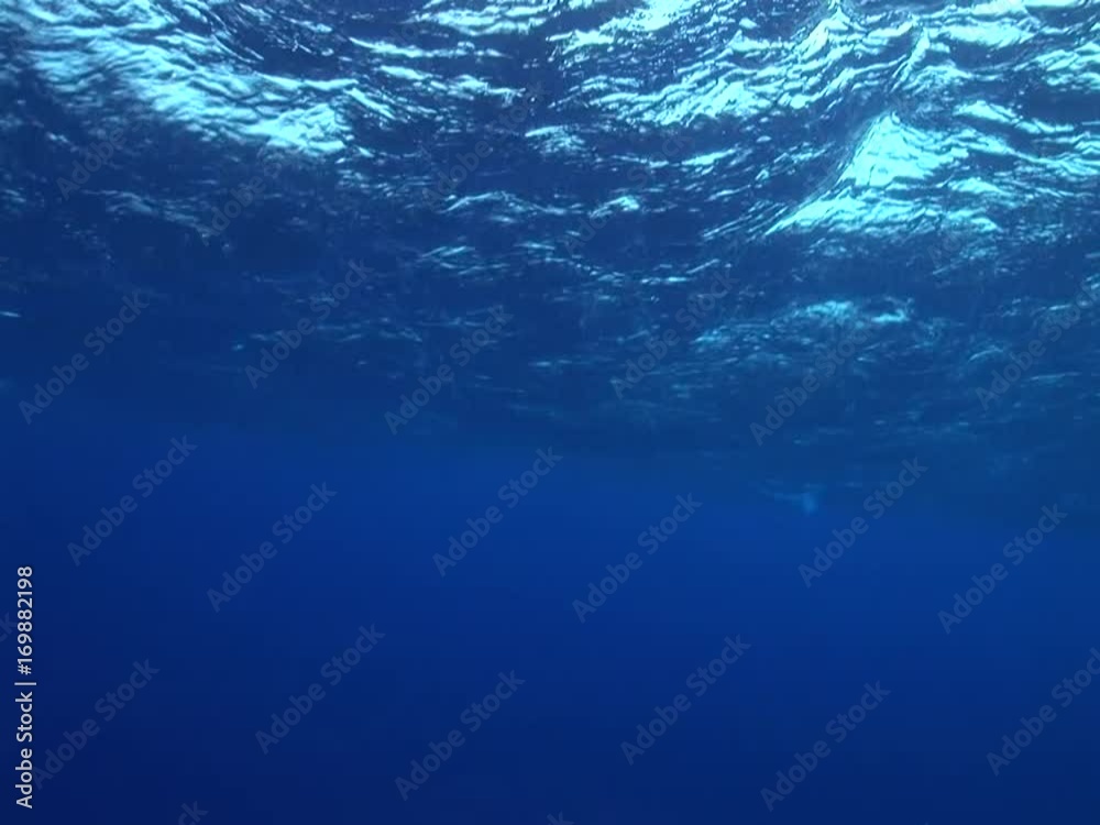 slow ascent in the open ocean slow ascent in the open ocean