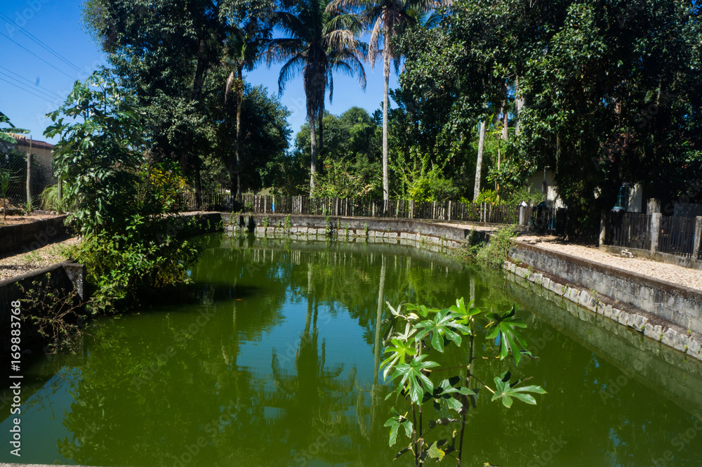 Reflexos da natureza no lago dos peixes.