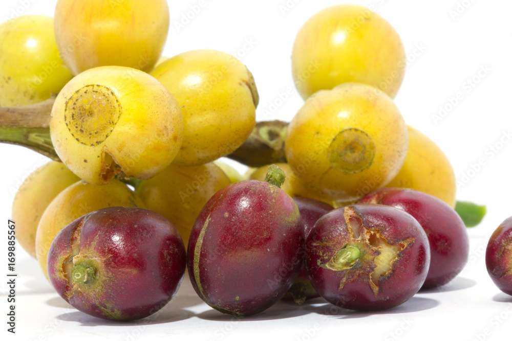 Coffee beans on white background
