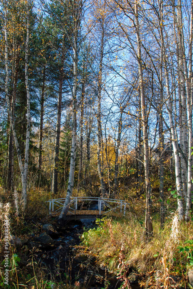 paesaggio nordico Finlandia