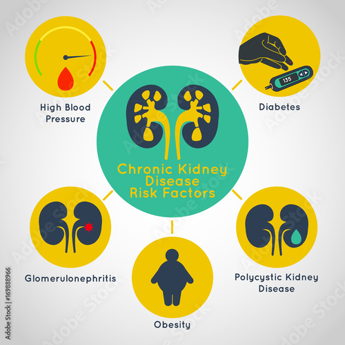 chronic kidney disease risk factors vector icon infographics