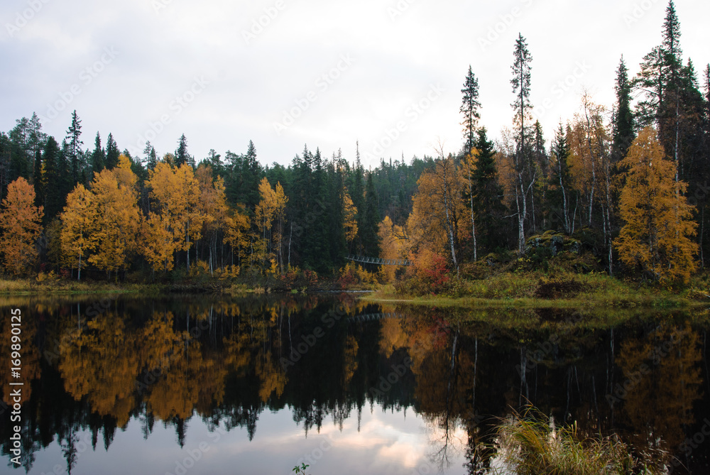 Foreste panorami in Scandinavia paesi del nord, Svezia, Norvegia, Finlandia