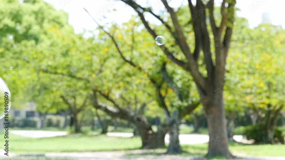 Colorful soap bubbles floating in green park, slow motion
Colorful soap bubbles floating in green park, slow motion