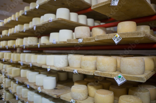 Swiss cheese cellar