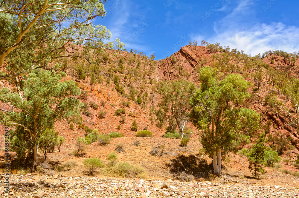 Brachina Gorge in Wilpena Pound - Flinders Ranges, SA, Australia