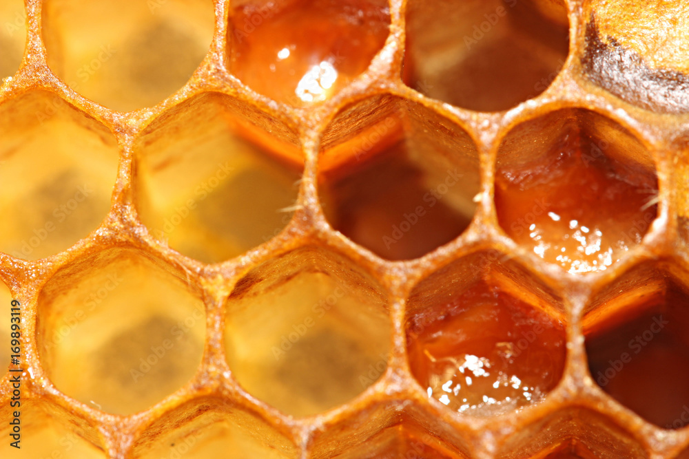 Honeycombs Honeycombs