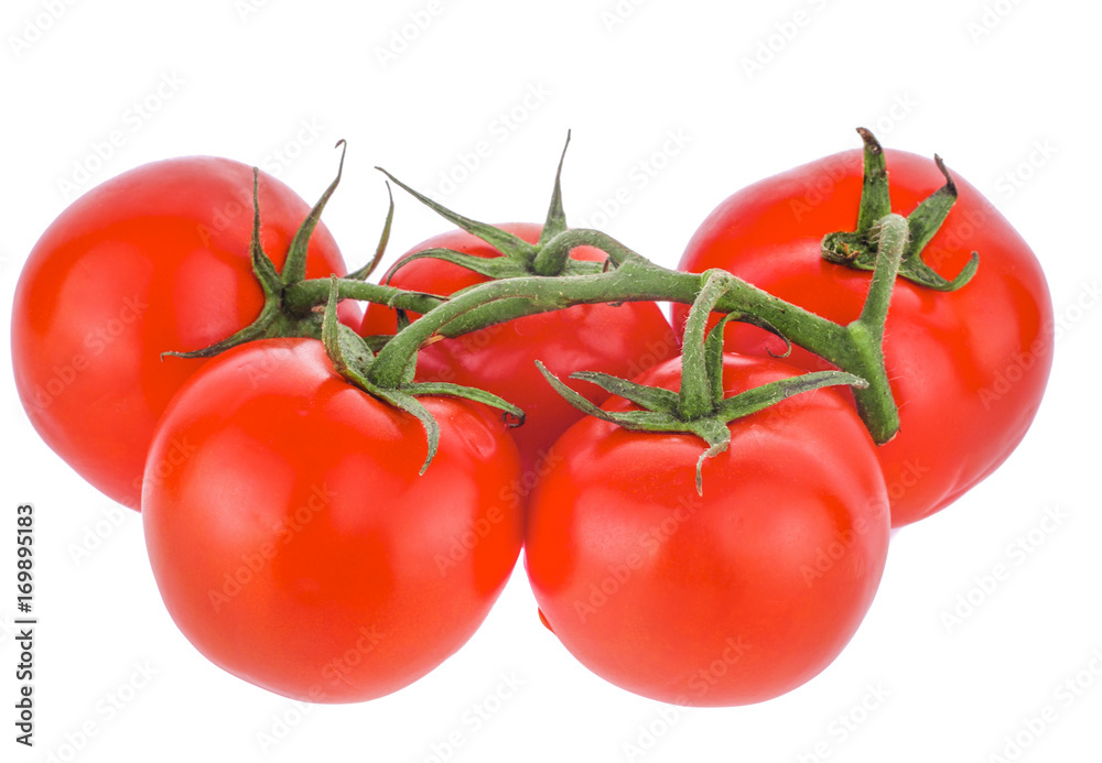 fresh tomatoes isolated on white background fresh tomatoes isolated on white background
