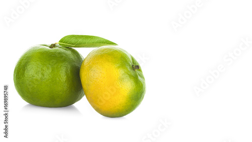 tangerine or mandarin fruit isolated on white background