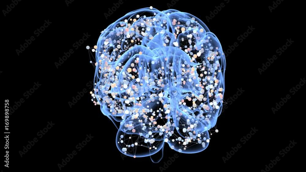 Brain and centers of an activity Brain and centers of an activity