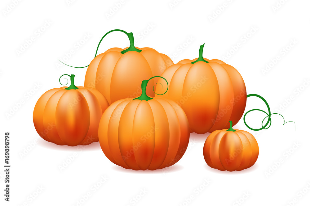 bunch of pumpkins isolated on white background. bunch of pumpkins isolated on white background.