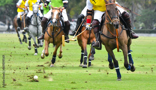 Horse Polo Player Playing