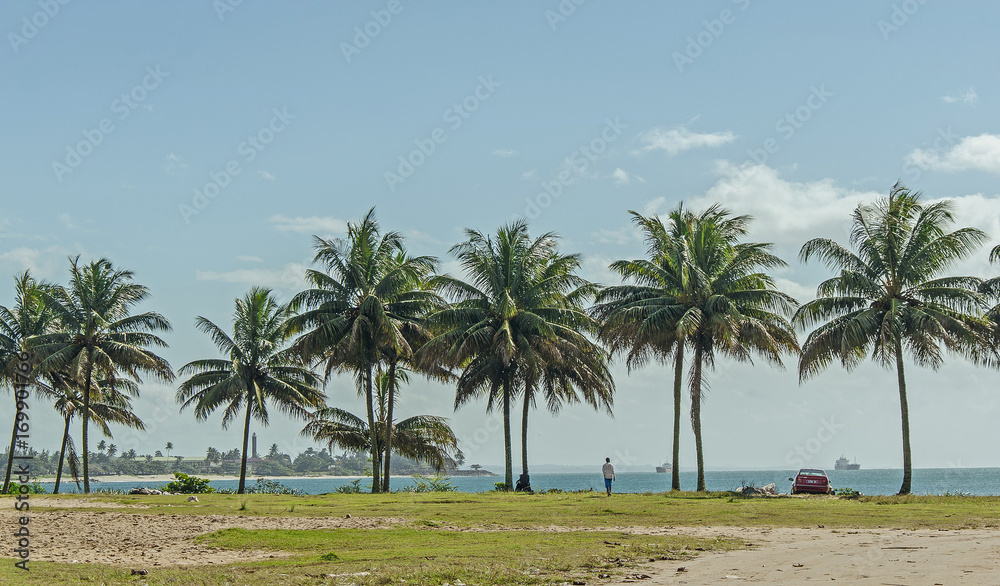 Shore of the sea with green palms and grass, Toamasina, Madagascar