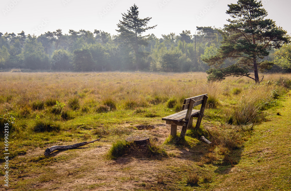 Empty wooden bench at the edge of moorland