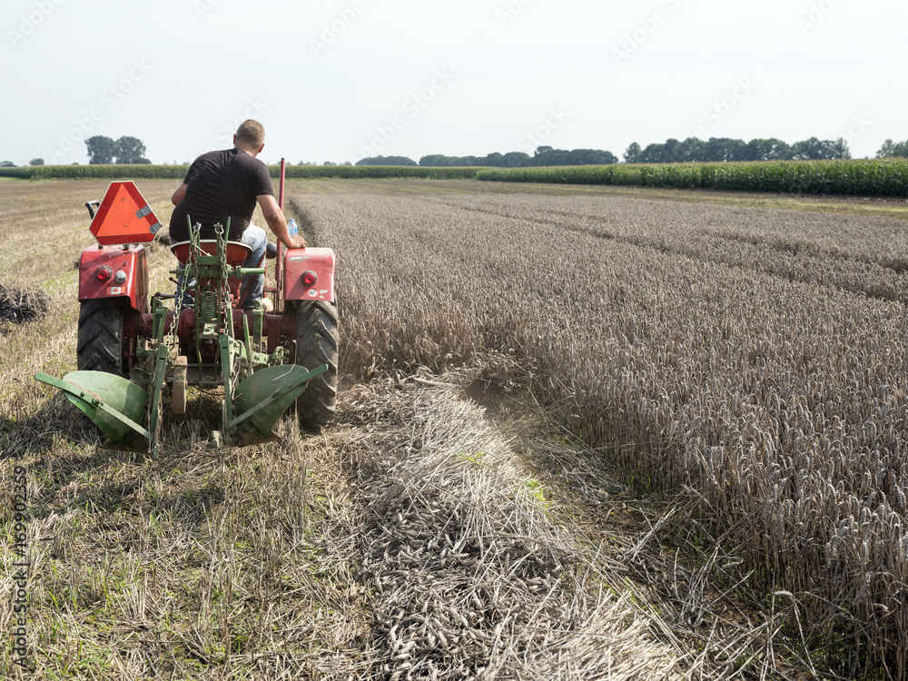 Obraz premium farmer on old tractor mows wheat with plow behind