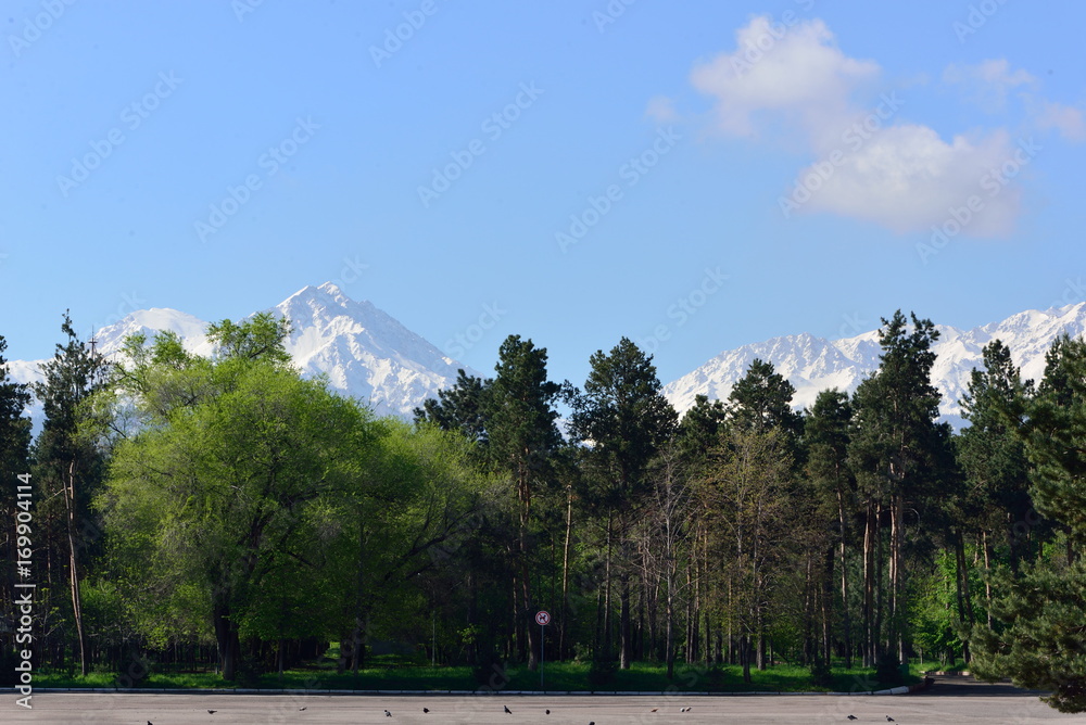 Fototapeta premium Summer day in a park, Almaty. Kazakhstan