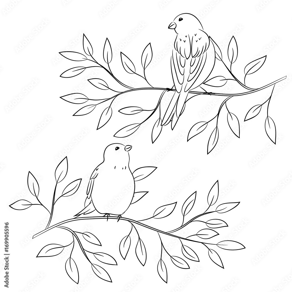 contour vector of birds contour vector of birds