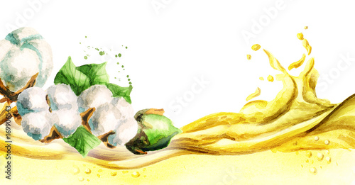 Cottonseeds oil wave, watercolor hand-drawn illustration photo