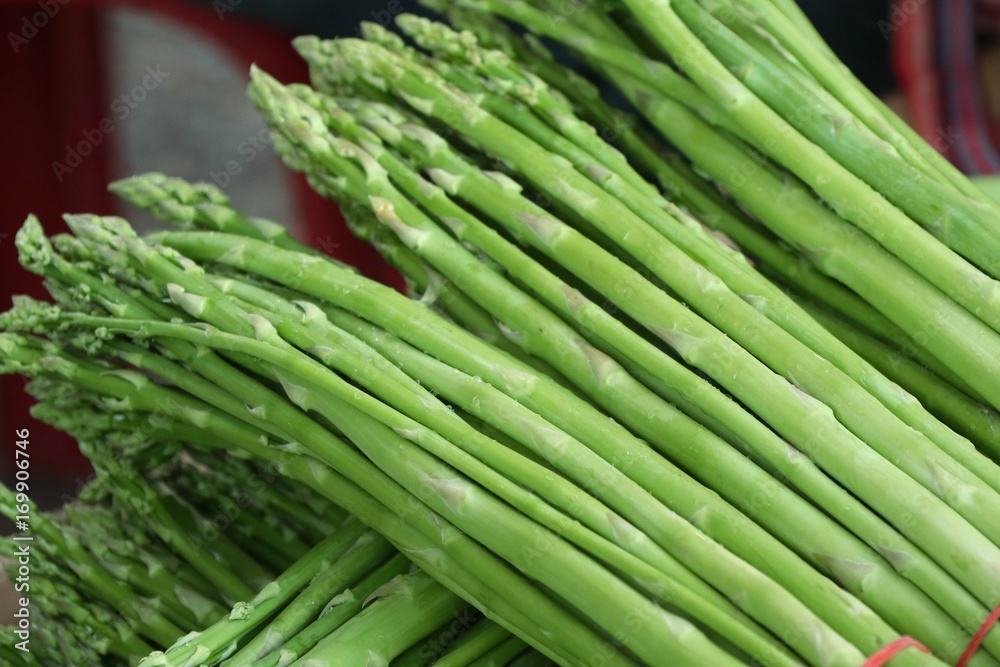 Fototapeta premium asparagus bunch
