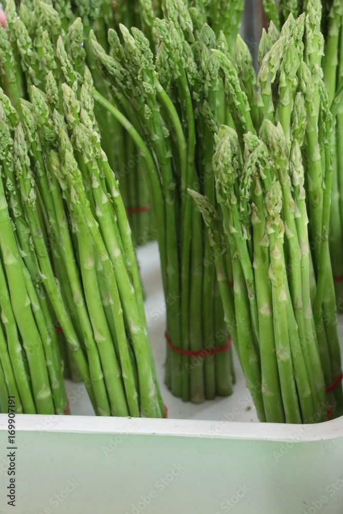 Fototapeta premium asparagus bunch