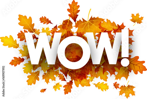 Autumn wow background with leaves.