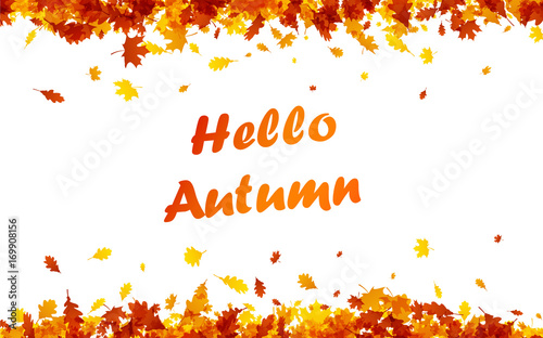 Hello autumn background with orange leaves.