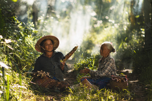 The story of rural people way of life, Karen is with nature on the jungle. photo