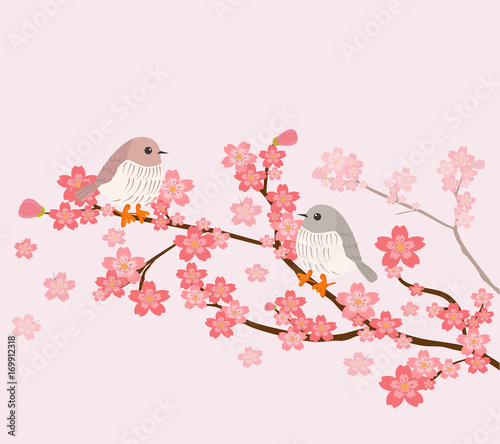 cute birds with cherry tree background